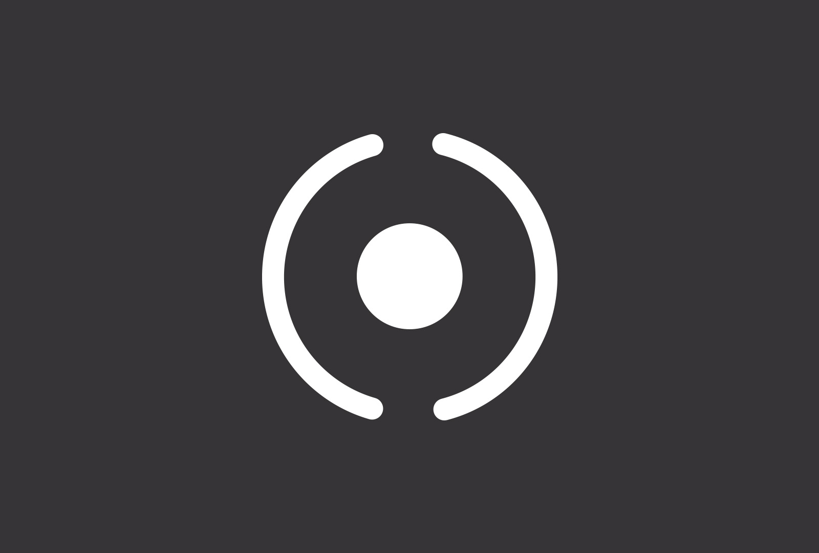 Online Marketing | PING Apparel Logo | Jamie Mason Design & Media